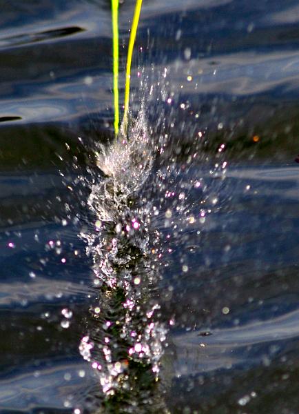 Peche a la mouche a6.jpg